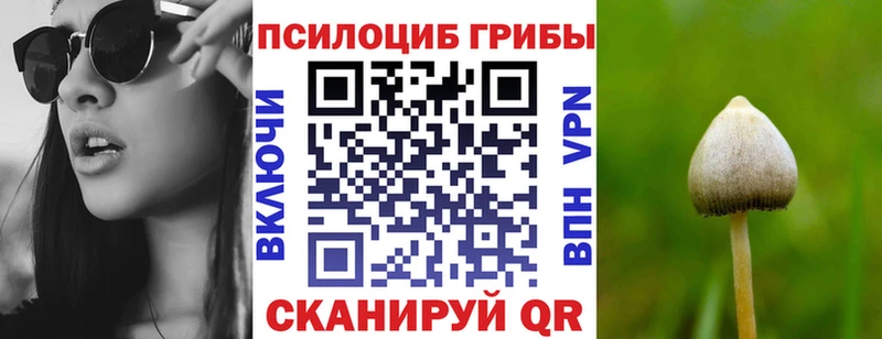Галлюциногенные грибы Magic Shrooms  где купить   Моршанск 